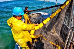 Industrial Photography,  Commercial Fisherman in the Gulf