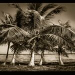 Stanwycks Photography, Black and White in Mexico at the Beach