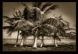 Stanwycks Photography, Black and White in Mexico at the Beach